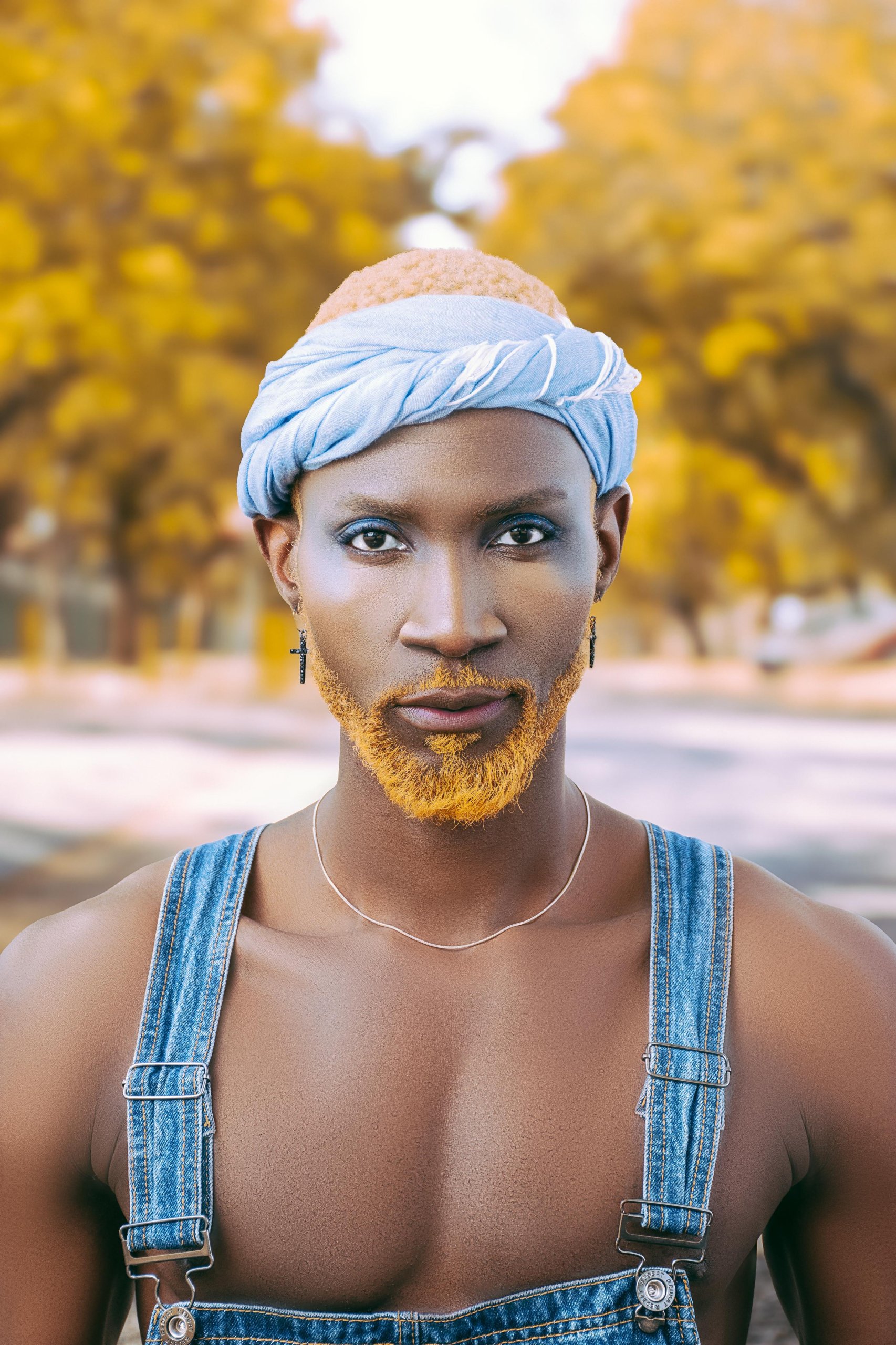 Lwazi Stories background image